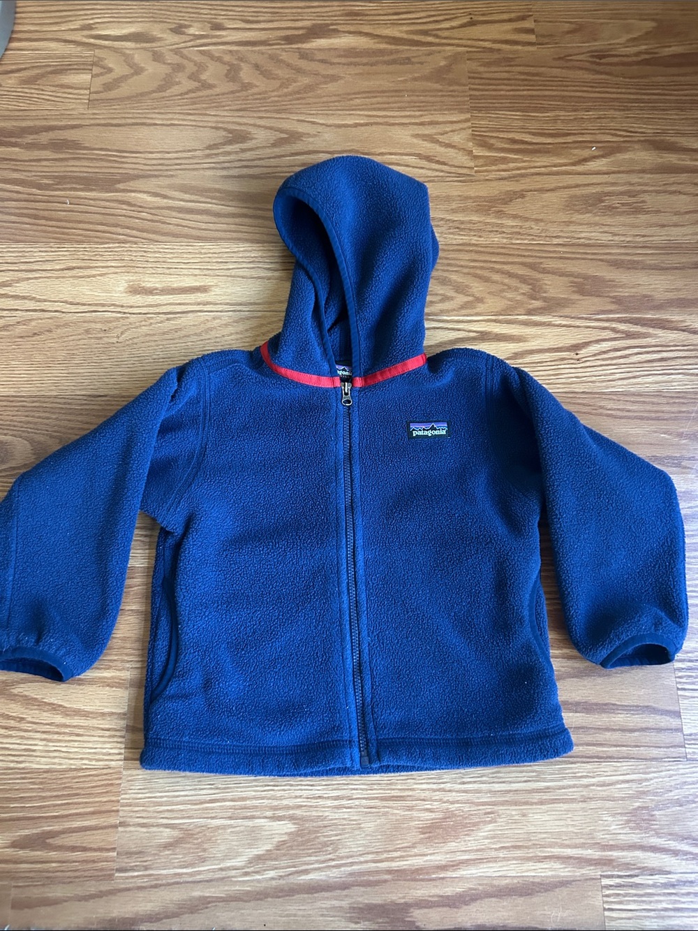 Patagonia Kids Blue Fleece Hoodie with Red Trim